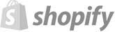 shopify store development